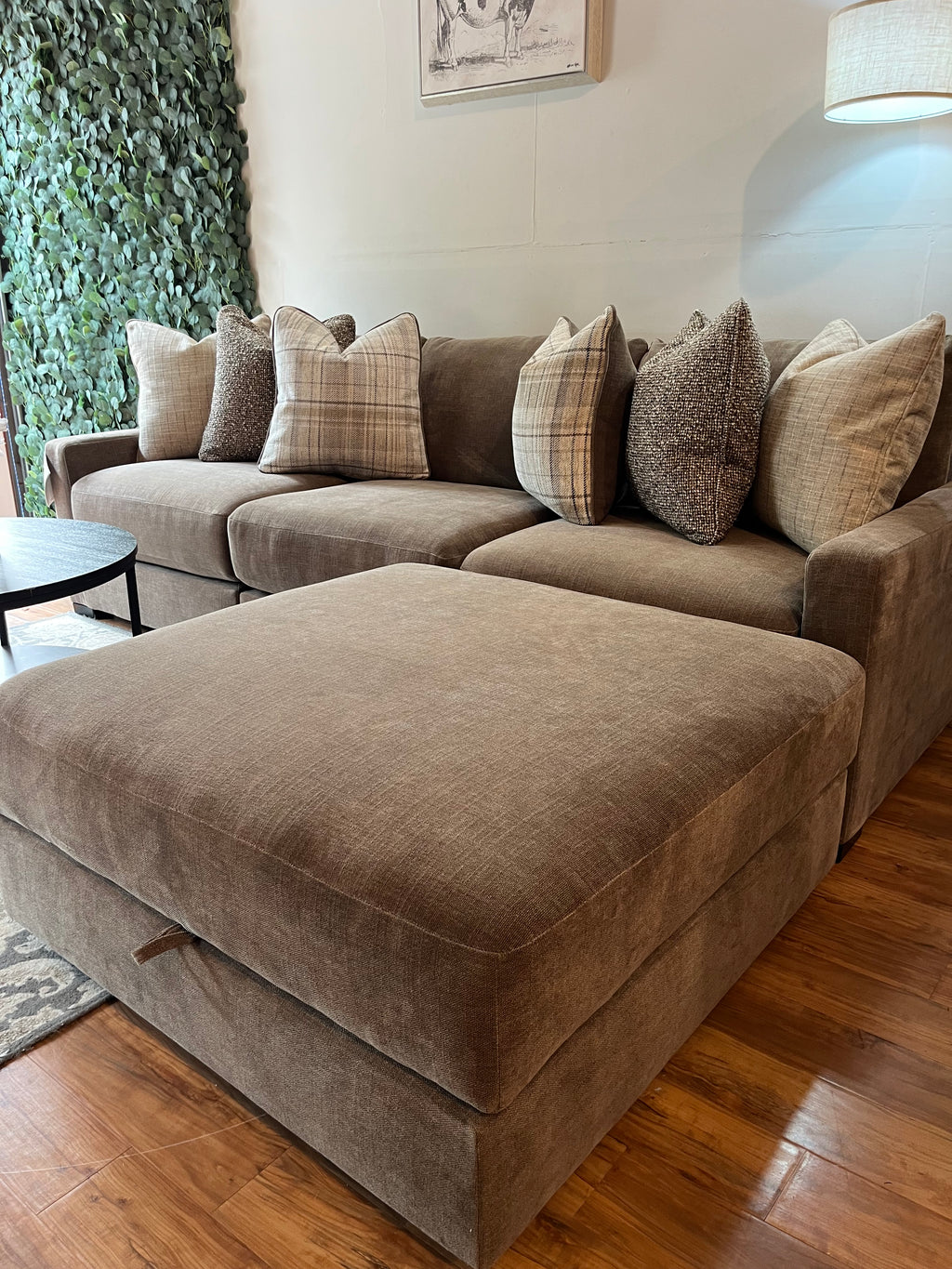 Camellia Court in Coffee
