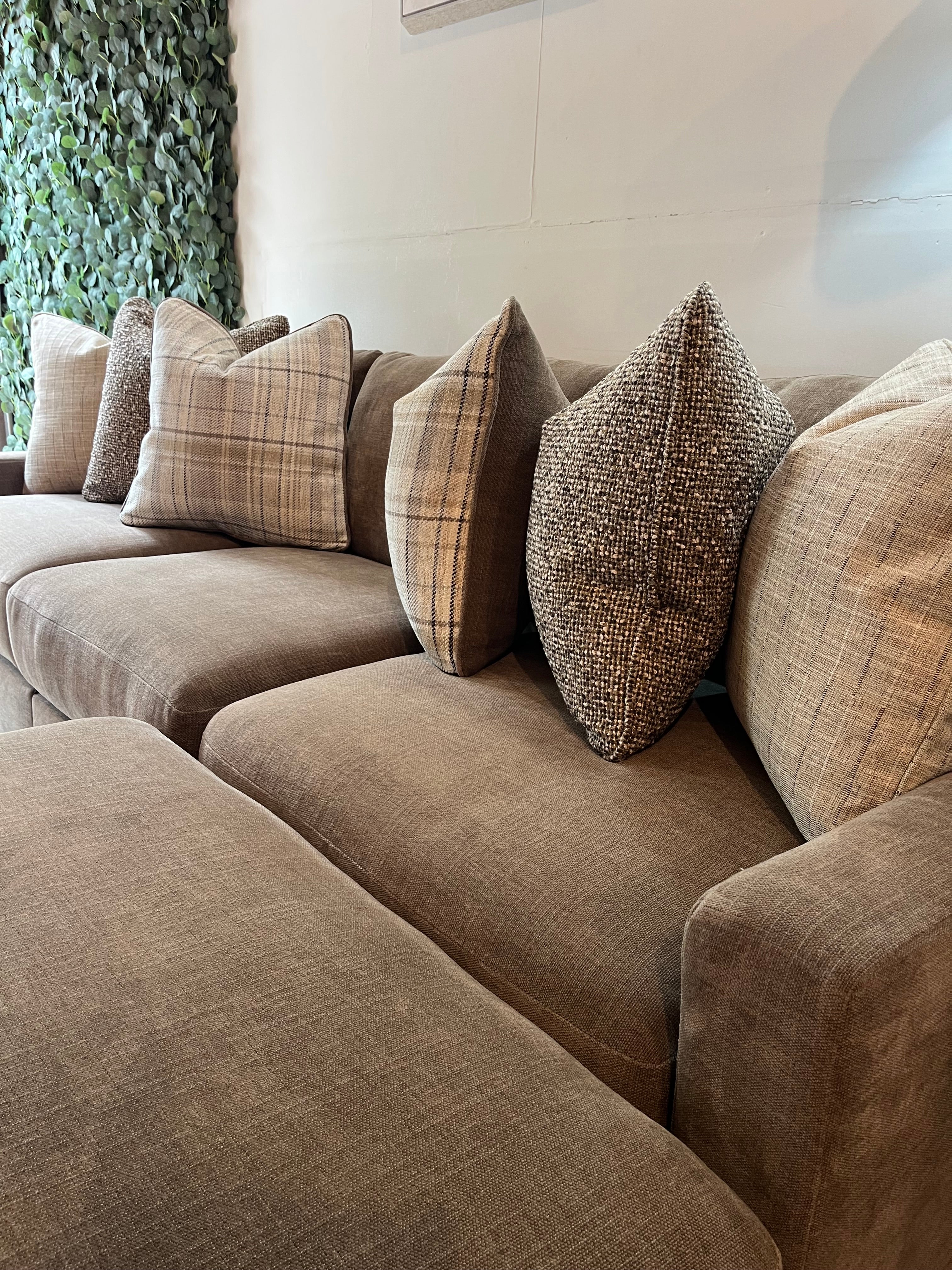 Camellia Court in Coffee