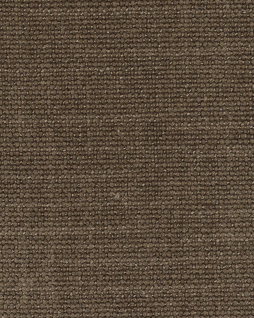 Camellia Court in Coffee