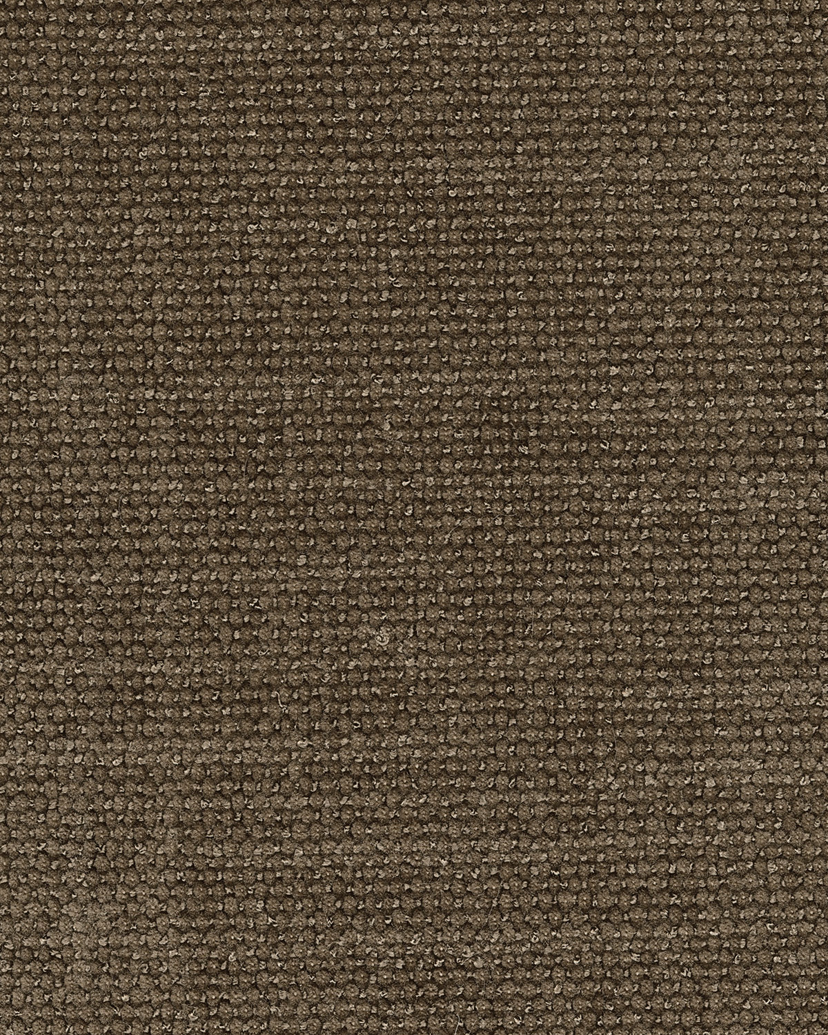 Camellia Court in Coffee